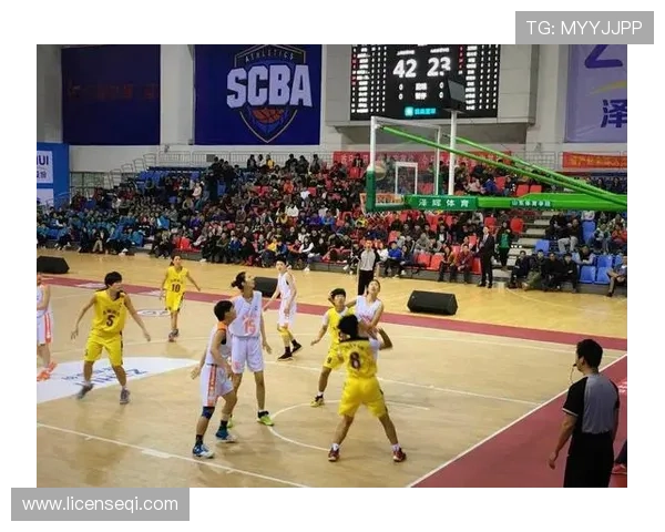 佛山体育女子篮球联赛（佛山市篮球）sports